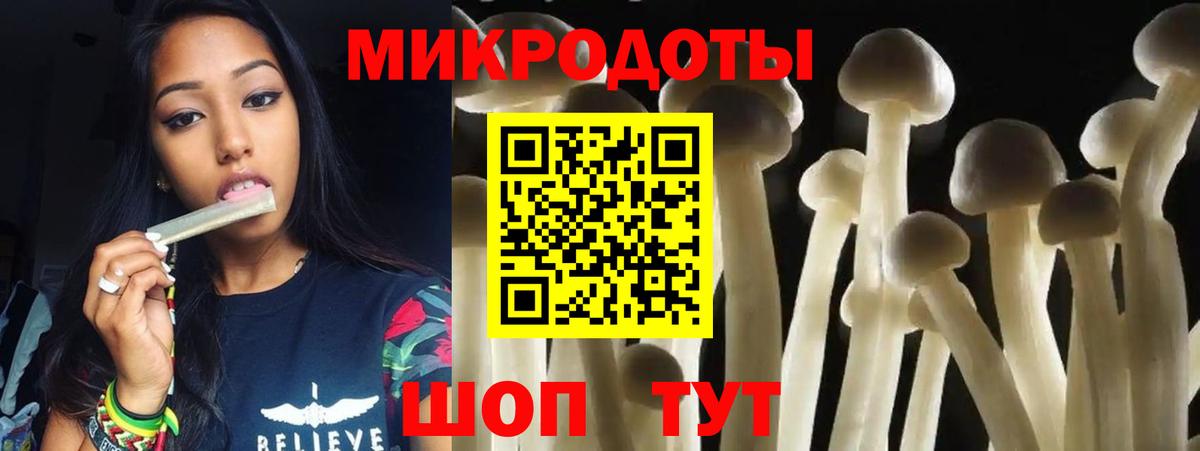 Галлюциногенные грибы Psilocybe Воркута